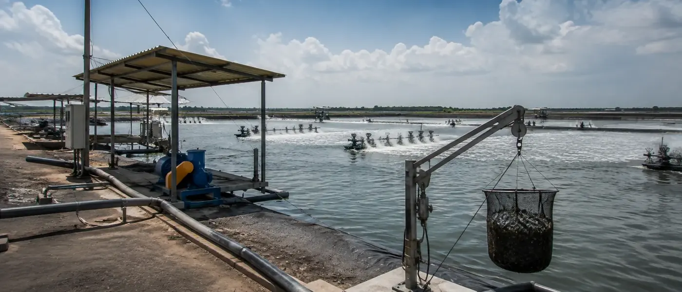 Acuicultura y pesca · instalación industrial atendida por MASTER INDUSTRIA